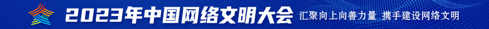 鸡巴插小穴视频在线观看2023年中国网络文明大会